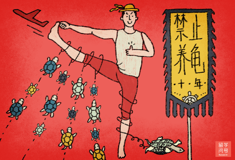 禁止养龟10年的案例